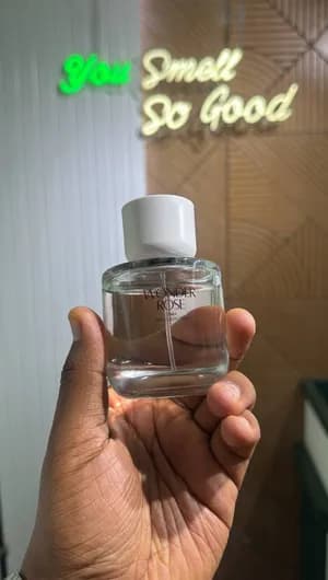 ZARA WONDER ROSE