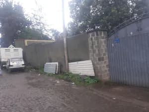 1400 sqm Construction Land Meskel Flower