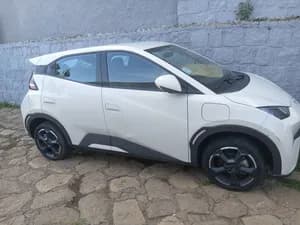 BYD Seagull 2024 Electric