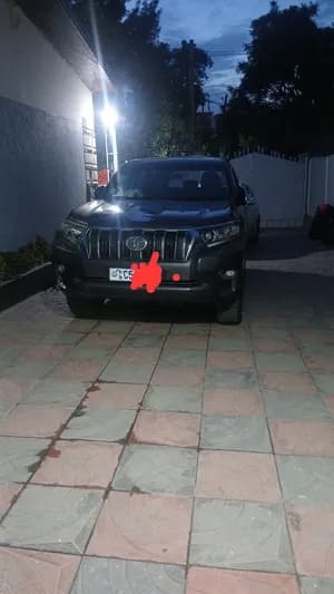 Toyota Land Cruiser Prado 2019