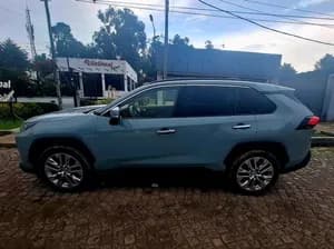 Toyota RAV4 2021 2.0L