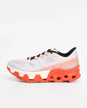On Cloudmonster 36-43