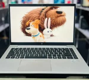 HP EliteBook i5 10th Gen Touchscreen