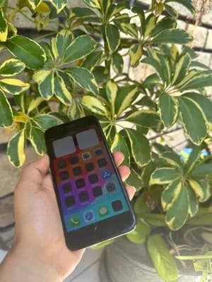 Apple iPhone SE 256GB