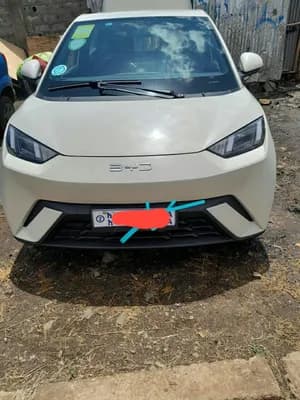 BYD Seagull Premium 2024 Electric