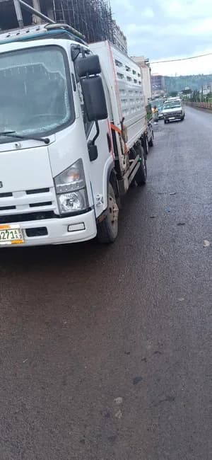 Isuzu Cargo Truck 2023 Model