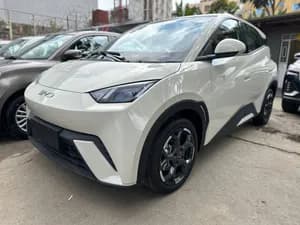 BYD Seagull 2025 Electric