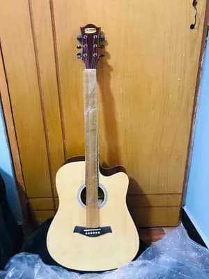 Siltron Semi Acoustic Electric Guitar