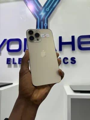 iPhone 13 Pro Max 256GB