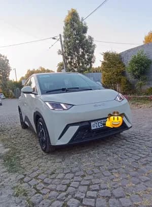 BYD Seagull 2024 Electric