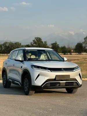 BYD Yuan Up 2025