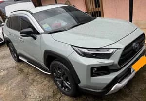 Toyota RAV4 Hybrid 2022