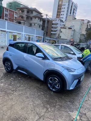 BYD Segul 2024 Electric Automatic
