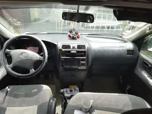 Dolphin half VAN