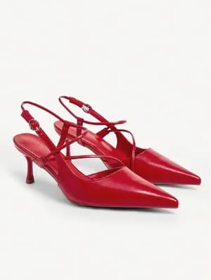 Pointy toe low heel