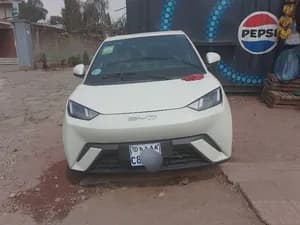 BYD Seagull 2024