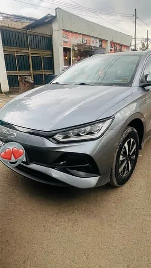 BYD E2