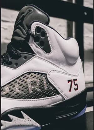 Jordan 5 40