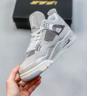 Jordan 4 'frozen'
