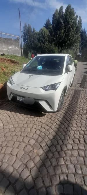 BYD Seagull