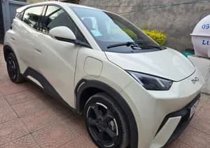 BYD Seagull Electric 2024
