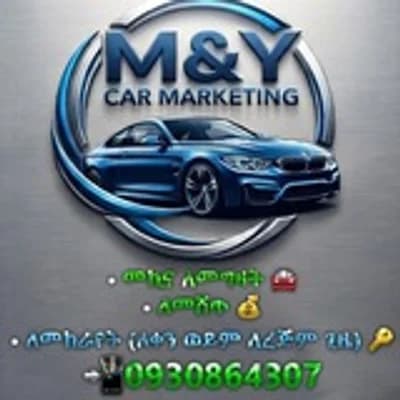 M and Y Car Market
