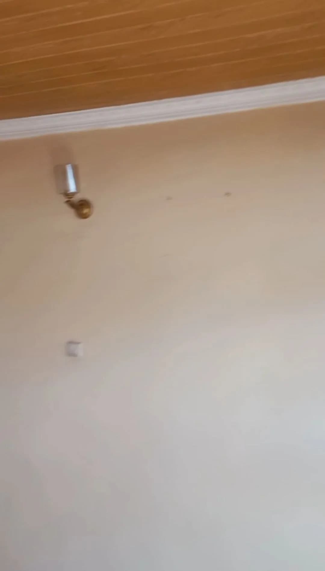 product_photo_1